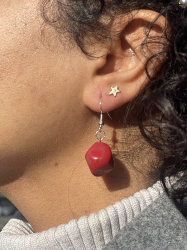 Red Stone Earrings